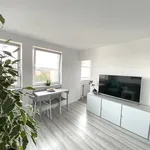 Rent 1 bedroom apartment of 30 m² in Nuremberg