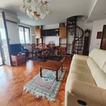 Rent 4 bedroom apartment of 134 m² in Pavia