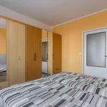 Rent 2 bedroom apartment of 53 m² in Modřice