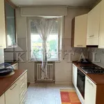 Rent 1 bedroom apartment of 48 m² in Cinisello Balsamo