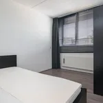 Diabellistraat, Capelle aan den IJssel - Amsterdam Apartments for Rent