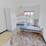 Rent 4 bedroom apartment of 110 m² in Torino