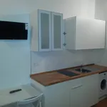 Rent 1 bedroom apartment of 33 m² in Turin