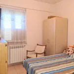 Rent 2 bedroom apartment of 80 m² in borgia