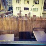 Rent a room of 80 m² in Frankfurt am Main