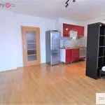 Rent 1 bedroom apartment of 33 m² in Praha