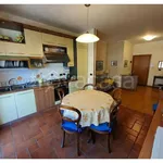 Rent 4 bedroom apartment of 110 m² in Pescara