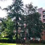 Rent 3 bedroom apartment of 98 m² in Milano