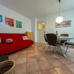 Rent 2 bedroom apartment of 56 m² in Dresden