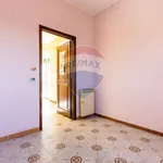 Rent 3 bedroom apartment of 94 m² in Roma