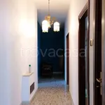 Rent 3 bedroom apartment of 120 m² in Foggia