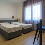 Rent 1 bedroom apartment of 30 m² in Treviso