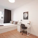 Rent 1 bedroom apartment of 13 m² in Essen