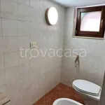 Rent 1 bedroom apartment of 45 m² in Margherita di Savoia