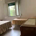 Rent 2 bedroom apartment of 60 m² in viareggio