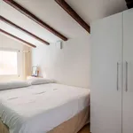 Rent 1 bedroom apartment of 50 m² in bologna