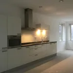 Rent 3 bedroom apartment of 130 m² in Haarlem