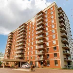 Rent 1 bedroom apartment in Kingston