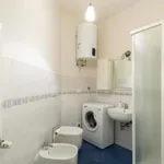 Rent 1 bedroom apartment in Bologna