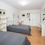 Rent 3 bedroom apartment in warsaw