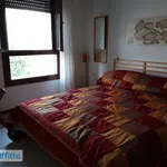 Rent 2 bedroom apartment of 75 m² in Venice