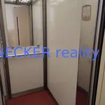 Rent 1 bedroom apartment of 41 m² in Hradec Králové