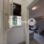 Rent 4 bedroom apartment of 100 m² in Lucca