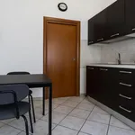 Rent 1 bedroom apartment in Bologna