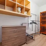 Rent 3 bedroom apartment in gdansk