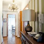 Rent 1 bedroom apartment in Lisbon