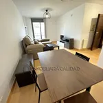 Rent 1 bedroom apartment of 55 m² in Madrid