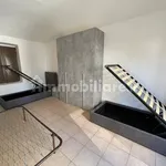 Rent 2 bedroom apartment of 55 m² in Turin