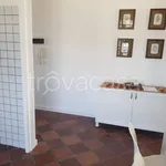 Rent 2 bedroom apartment of 60 m² in San Benedetto del Tronto