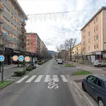 Appartamento in affitto a Salsomaggiore Terme viale Giacomo Matteotti, arredato, ascensore, centrale - TrovaCasa