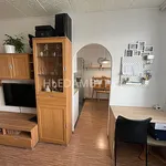 Rent 3 bedroom apartment of 53 m² in Capital City of Prague