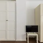 Rent 1 bedroom apartment in Bologna