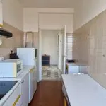 Rent 3 bedroom apartment of 80 m² in Milan