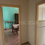 Rent 3 bedroom apartment of 70 m² in Terni