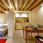 Rent 1 bedroom apartment of 25 m² in Lyon