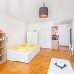 Rent 1 bedroom apartment of 34 m² in prague