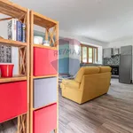 Rent 1 bedroom apartment of 50 m² in 13
 
 Biella