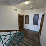 Rent 1 bedroom apartment of 20 m² in Pilsen