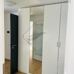 Pronajměte si 2 ložnic/e byt o rozloze 66 m² v Praha