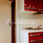 Rent 1 bedroom apartment of 26 m² in Turin