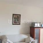 Rent 2 bedroom apartment of 50 m² in Grugliasco