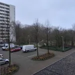 Huur 3 slaapkamer appartement van 90 m² in Waterlandpleinbuurt