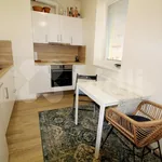 Rent 1 bedroom apartment of 33 m² in Brno