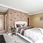 Rent 6 bedroom apartment in London