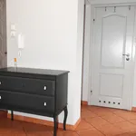 Rent 4 bedroom apartment of 66 m² in Piekary Śląskie