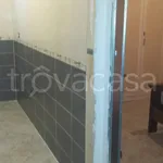 Rent 2 bedroom apartment of 55 m² in Frosinone